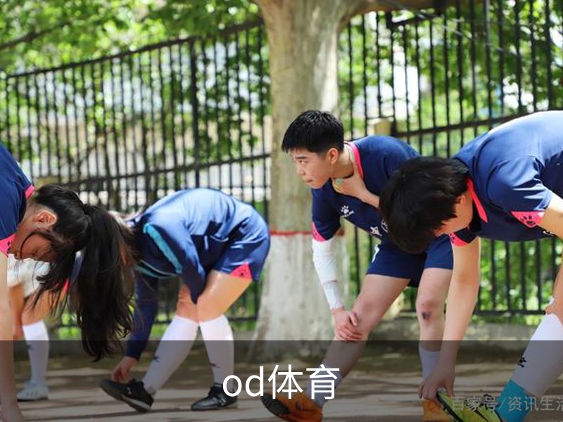 od体育介绍
